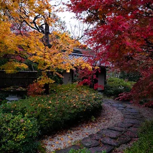 Gero Onsen Silence that soothes the heart, Miyako