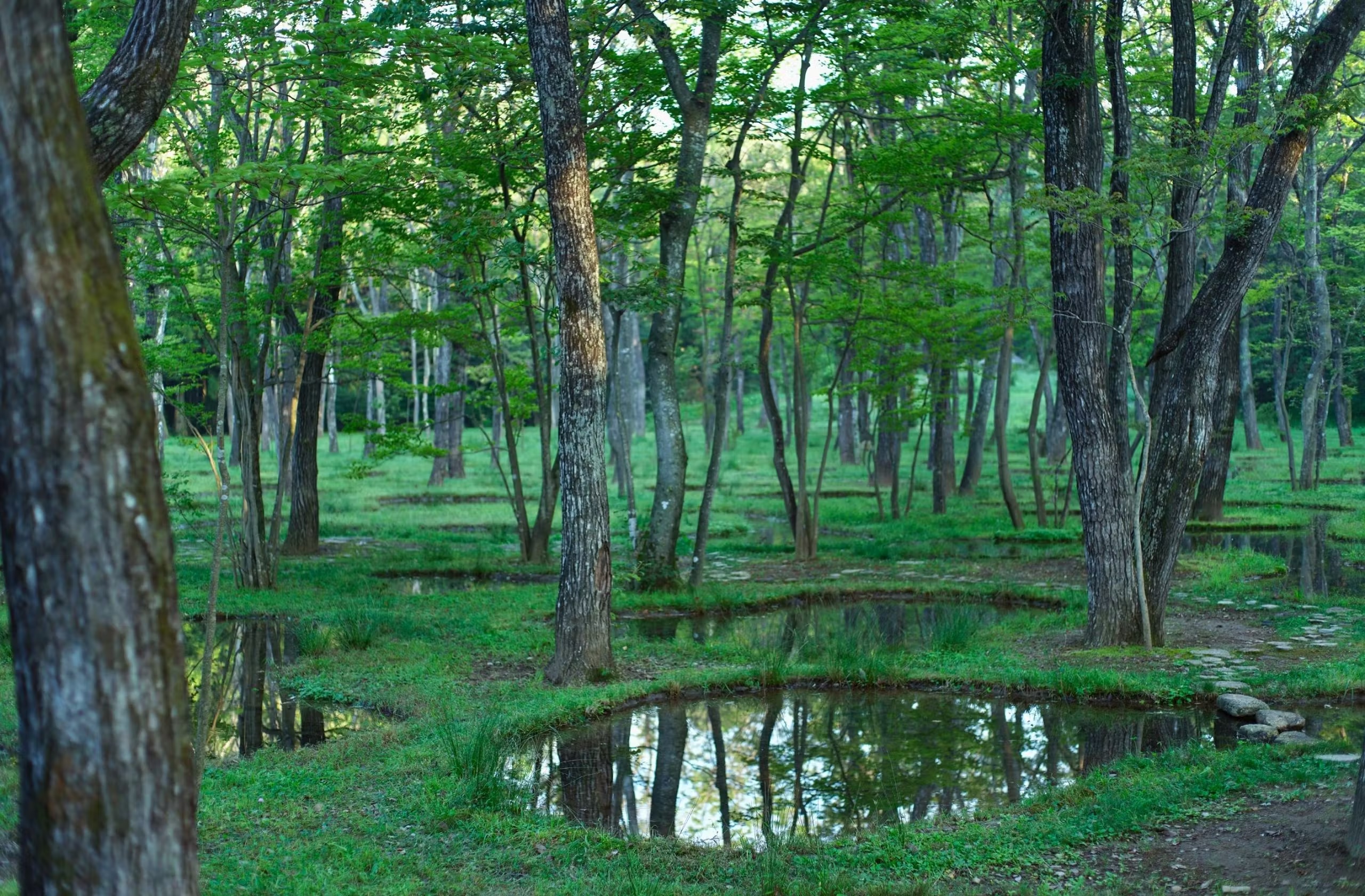 ART BIOTOP NASU Suite Villa